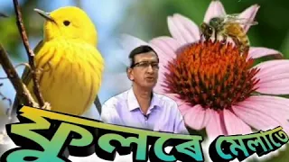 phoole melate by pulok benarji