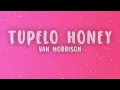 Van Morrison - Tupelo Honey (Lyrics)