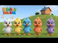 Download Lagu 5 BEBEK KECIL BERMAIN | ANAK AYAM PIYIK PIYIK | SUARA HEWAN | CIT CIT CUIT | Mixue Kidsong