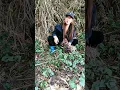 Download Lagu masteran burung viral kocak bikin ngakak hiburan warga +62 funnyvideos