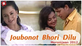 joubonot bhori dilu moromjaan 2012 anupam saikia exclusive video shyamantika biki