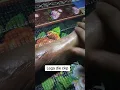 Download Lagu https://vt.tiktok.com/ZSrDksUTg/