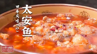 《味道》重庆非遗美食太安鱼 红薯淀粉吸满麻辣汤汁 鱼肉软滑到可以吸着吃 上溪牛杂 咕噜肉 东莞烧鹅 20260902 四季风味（3）| 美食中国 Tasty China