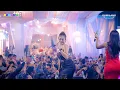 Lagu ROMANSA NYESS - CINTA SEJATI - SAHMA \u0026 BUNGA - WEDDING IQBAL \u0026 AULIA - TENGGULI BANGSRI JEPARA