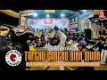 Download Lagu Kewan Kewan Topeng Loreng Bina Muda - Live Karangjati, Wringinputih, Borobudur
