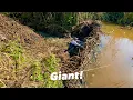Download Lagu Beaver Dam on Another Level!
