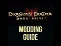A Guide to Modding Dragon s Dogma