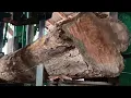 Download Lagu Processing wood into raw materials for the cutting process at a sawmill