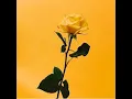 Download Lagu one kiss x i was never there ( slowed + reverb + rain)