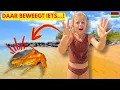 Lagu LUCILLA SCHROK ZICH ROT! 😱 ER KWAM IETS UIT DE ZEE... 🌊 (Worldschool) | Bellinga Vlog #3455