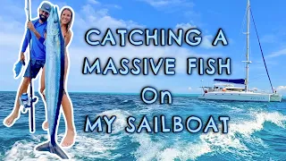 Catching a Massive Fish off my Sailboat on a Spinning Rod!