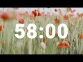 58 Minute Timer with Soothing Music Stress Relief Countdown Clock