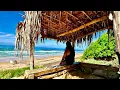 Is This Southern California s Most Dramatic NUDE Beach Black s Beach