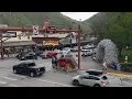 24 Hours in Jackson Hole Wyoming