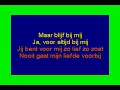 Download Lagu Salim Segers  - Verlaat me nooit ( KARAOKE ) Lyrics