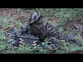 Download Lagu Uniforms, Gear \u0026 Equipment of the Vietnam LRRP