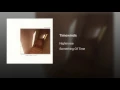 Timewinds