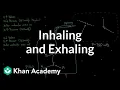 Inhaling and exhaling Respiratory system physiology NCLEX-RN Khan Academy