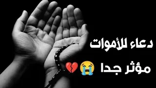 دعاء للميت ساعة كاملة من الدعاء للأموات صدقة جارية القارئ عبدالجليل الزناتي 