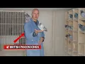 3 British Racing Pigeon Legends Les Green Mark Gilbert Geoff Cooper s Winning Secrets