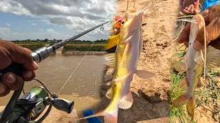 I searched for fishing spots in various places with Catfish