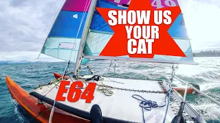 Show us your cat! Episode 64 Switzerland, Canada and USA