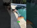 He Creates REALISTIC Mermaid Tails
