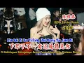 Download Lagu 陈雅森 - 下辈子不一定还能遇见你 - Xia Bei Zi Bu Yi Ding Hai Neng Yu Jian Ni - (DjBin Electro Remix 2023)