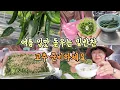 Download Lagu Prepare the best summer side dish, chili peppers