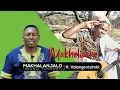 Lagu Makhalanjalo Inkunzi yoMswazi -  Makhelwane ft. Valangentsimbi [Official Music Video]