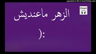 الزهر ماعنديش 