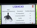 Corn Roots and Fertilizer Placement--what is the relationship
