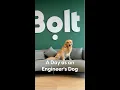 Download Lagu A day as an Engineer's dog at Bolt
