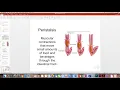 Nutrition Chapter 4 Part 1