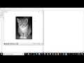 Reading and Writing the Image With Matplotlib