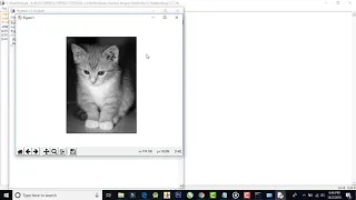 Reading and Writing the Image With Matplotlib