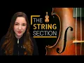 Instruments 101 Strings