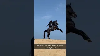 رفت رفت عيوني تريد تشوفو حالات واتس اب 