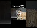 Tiger roar #viralvideo #youtubeshorts
