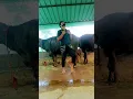 Download Lagu nindu punnami Vela private song shorts #trending #viral #newmusic #sub #shortvideo #trending