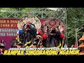 Download Lagu Spesial❗LEBARAN Barongan Rogo Samboyo Putro Live Tawun Ngawi