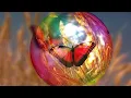 Kelly Clarkson – ​​red flag collector (Lyrics) 💗♫