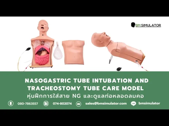 S033 หุ่นฝึกการใส่สาย NG และดูแลท่อหลอดลมคอ / Nasogastric Tube Intubation  and Tracheostomy Tube  Care Model