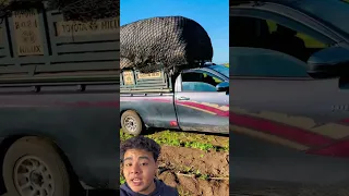 أحسن تويوتا في المغرب تويوتا Hilux Agriculture عمل 