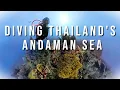 Lagu Diving Thailand's Andaman Sea