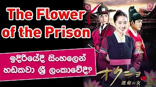 the flower of the prison the flower of the prison
