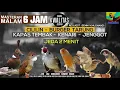Download Lagu Kicau Burung CILILIN - BURGER - KENARI - KATEM - JENGGOT || Jeda 2 menit || REQUEST MASTERING 37#