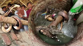 😱 कुएँ में निकला खतरनाक कोबरा! मौत के कुएँ से किया रेस्क्यू 🐍🔥 | Snake Rescue