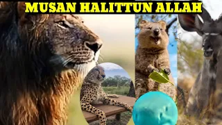 musan halittun allah sabon shiri episode 1