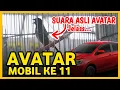 AVATAR KALAHKAN LAMBADA REBORN ‼️ BAWA HADIAH MOBIL KELAS UTAMA PRASASTI